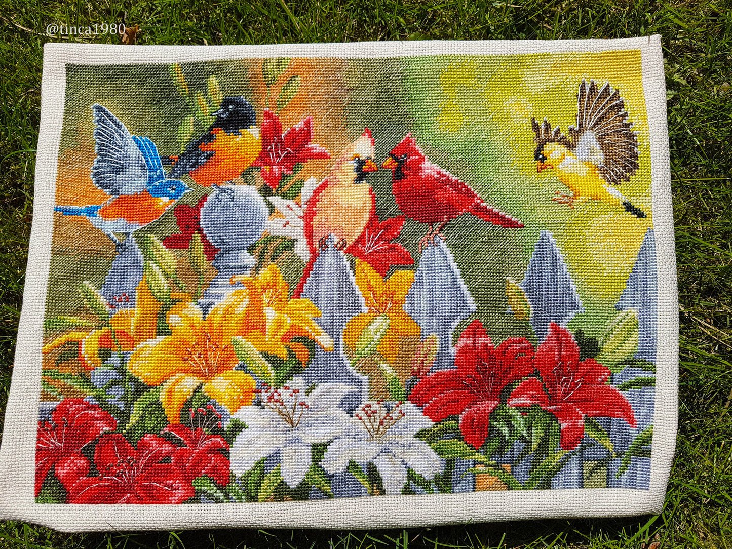 Cross Stitch Kit Luca-S - Backyard Birds with Daylilies, BU5024