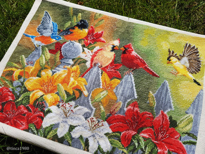 Cross Stitch Kit Luca-S - Backyard Birds with Daylilies, BU5024